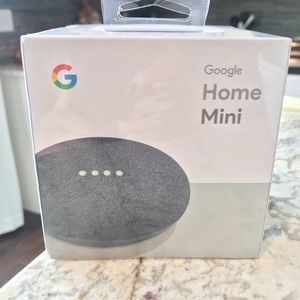 NEW Google Home Mini